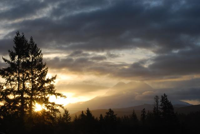 © Mt. Rainier by Polly von Thaden ~ 22 Mar 2011 ~