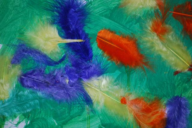 feather art by Morgan